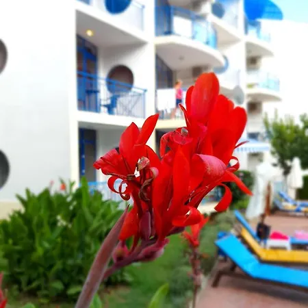 Marina - Vega Village * סבטי ולאס
